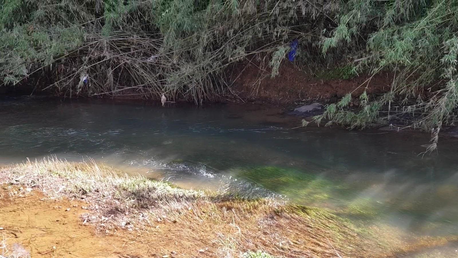 Vythiri Stream View – photo 2