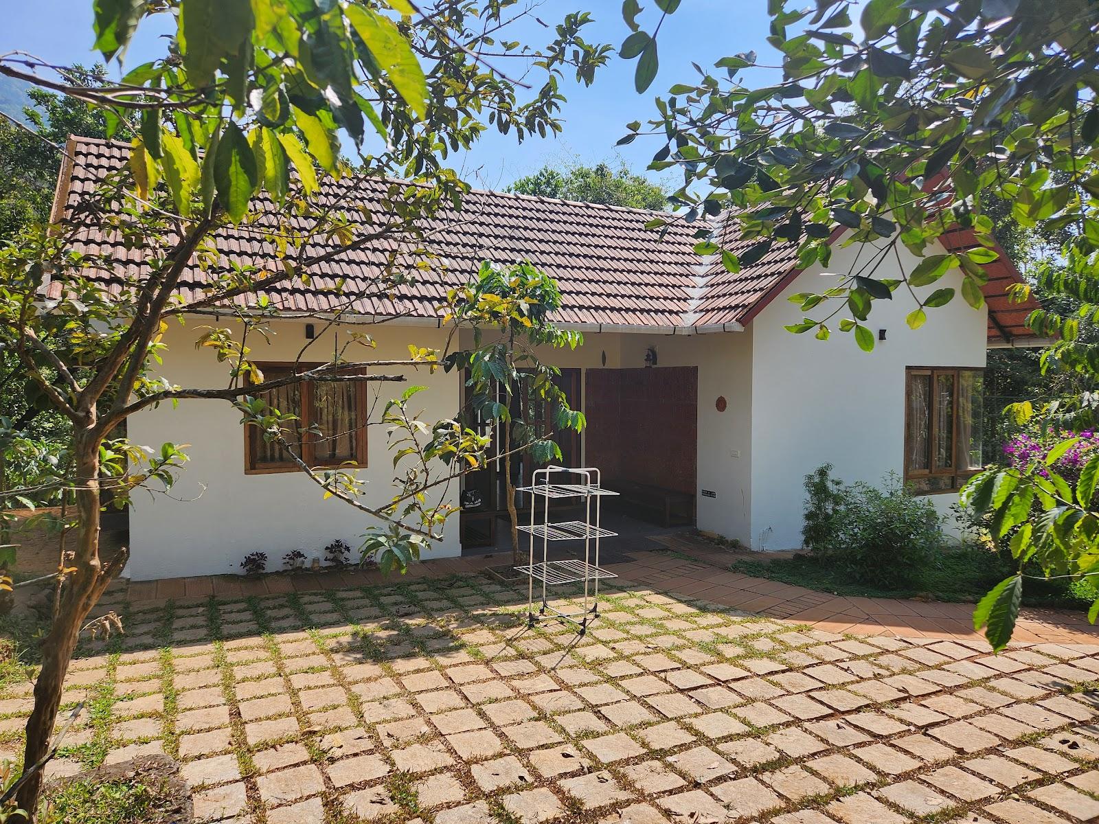 Jungle stream - villas in wayanad – photo 2
