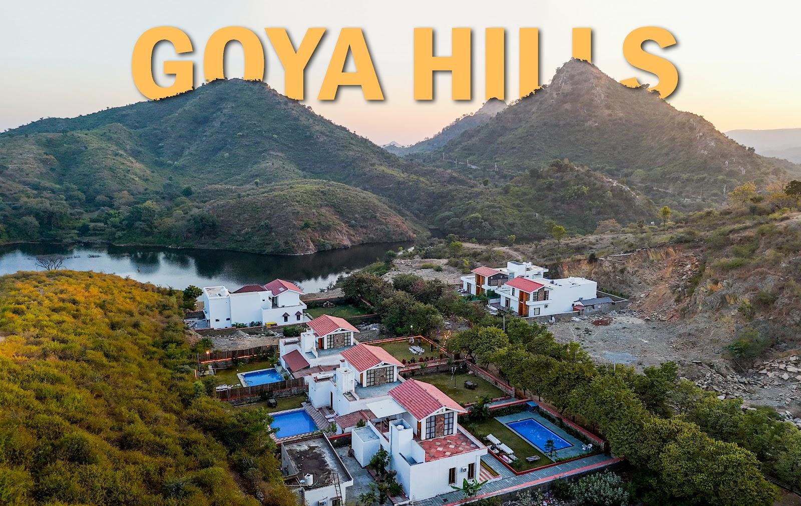 Goya Hills – Private Villa in Udaipur – photo 1