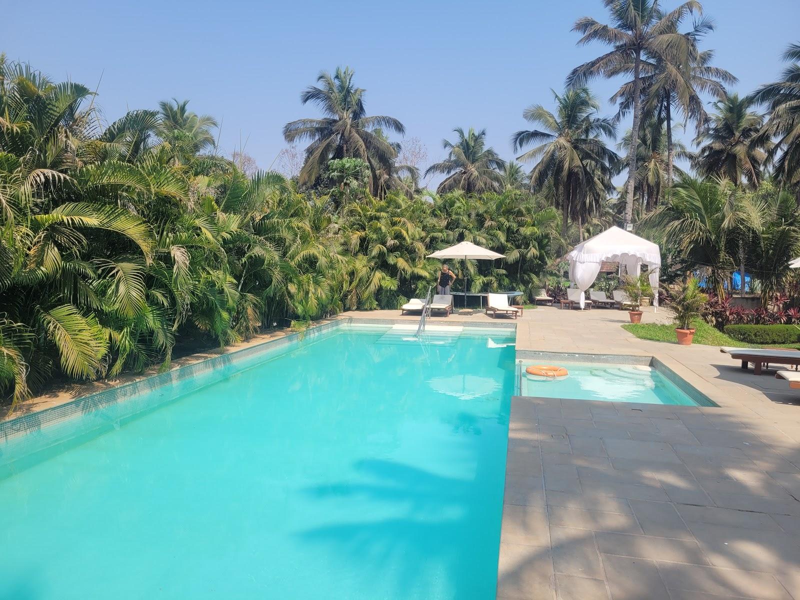Silva Heritage – photo 4