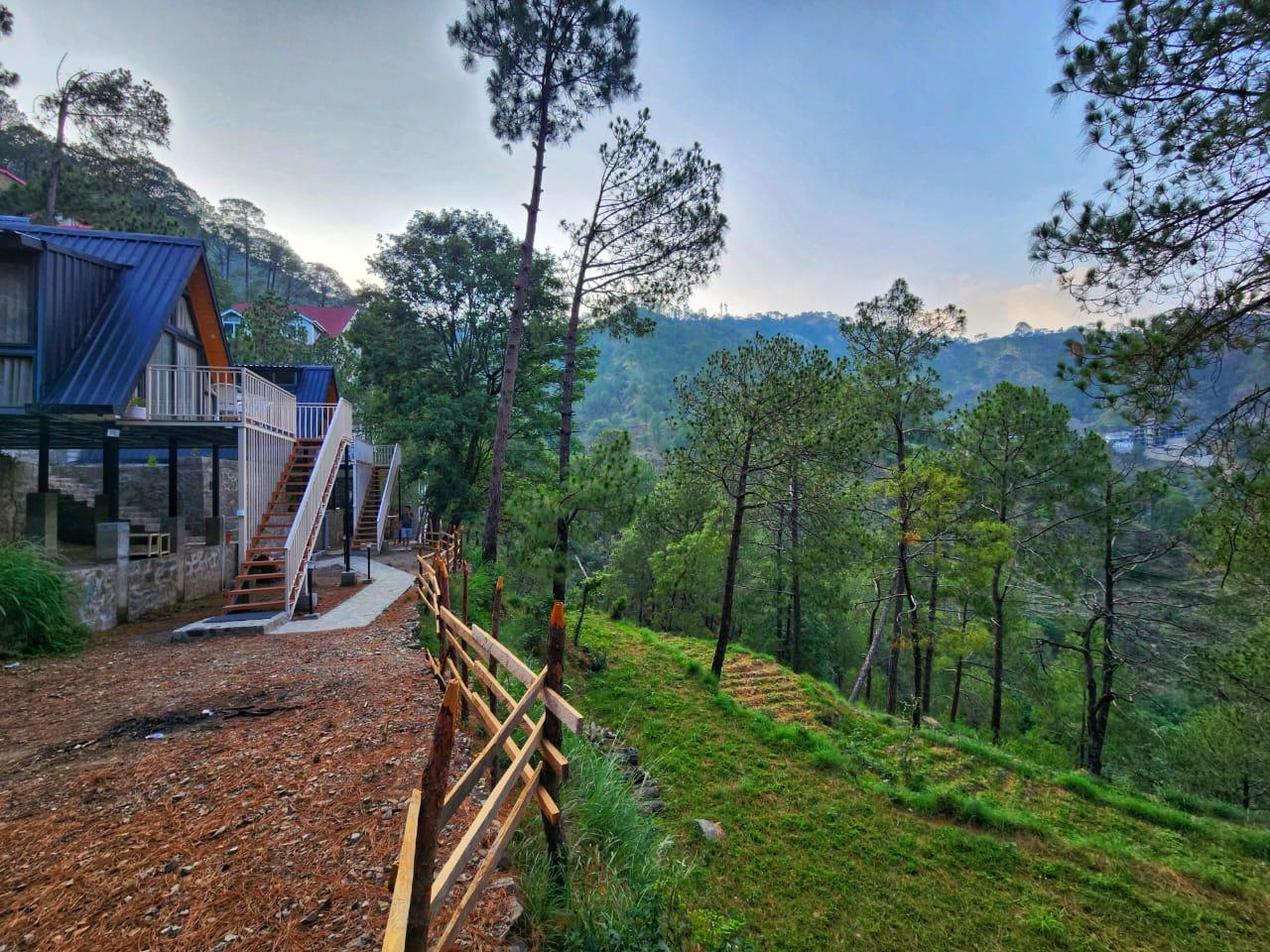 Musical Paradise Kasauli – photo 4