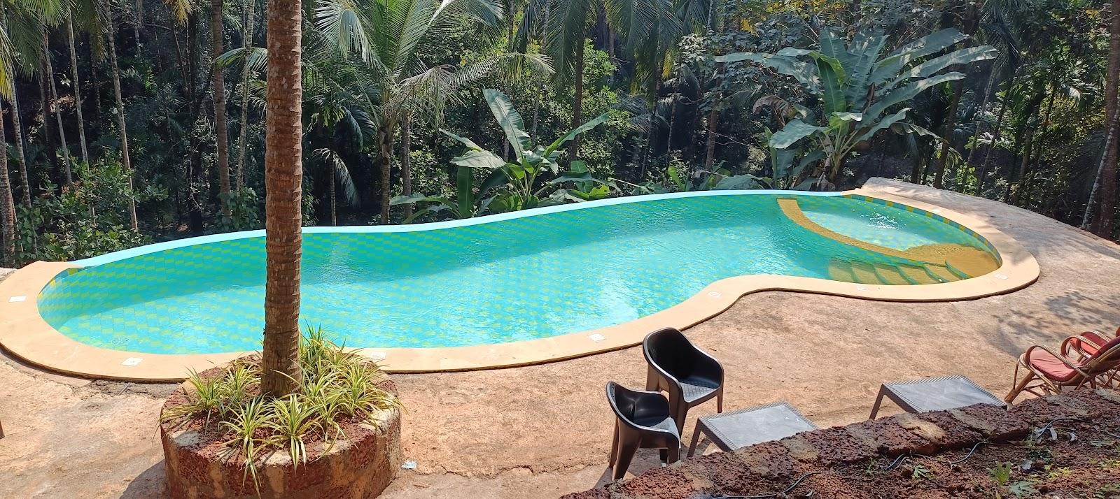 Atmani WaterFront Resort- Infinity Pool Resort in Goa – photo 4