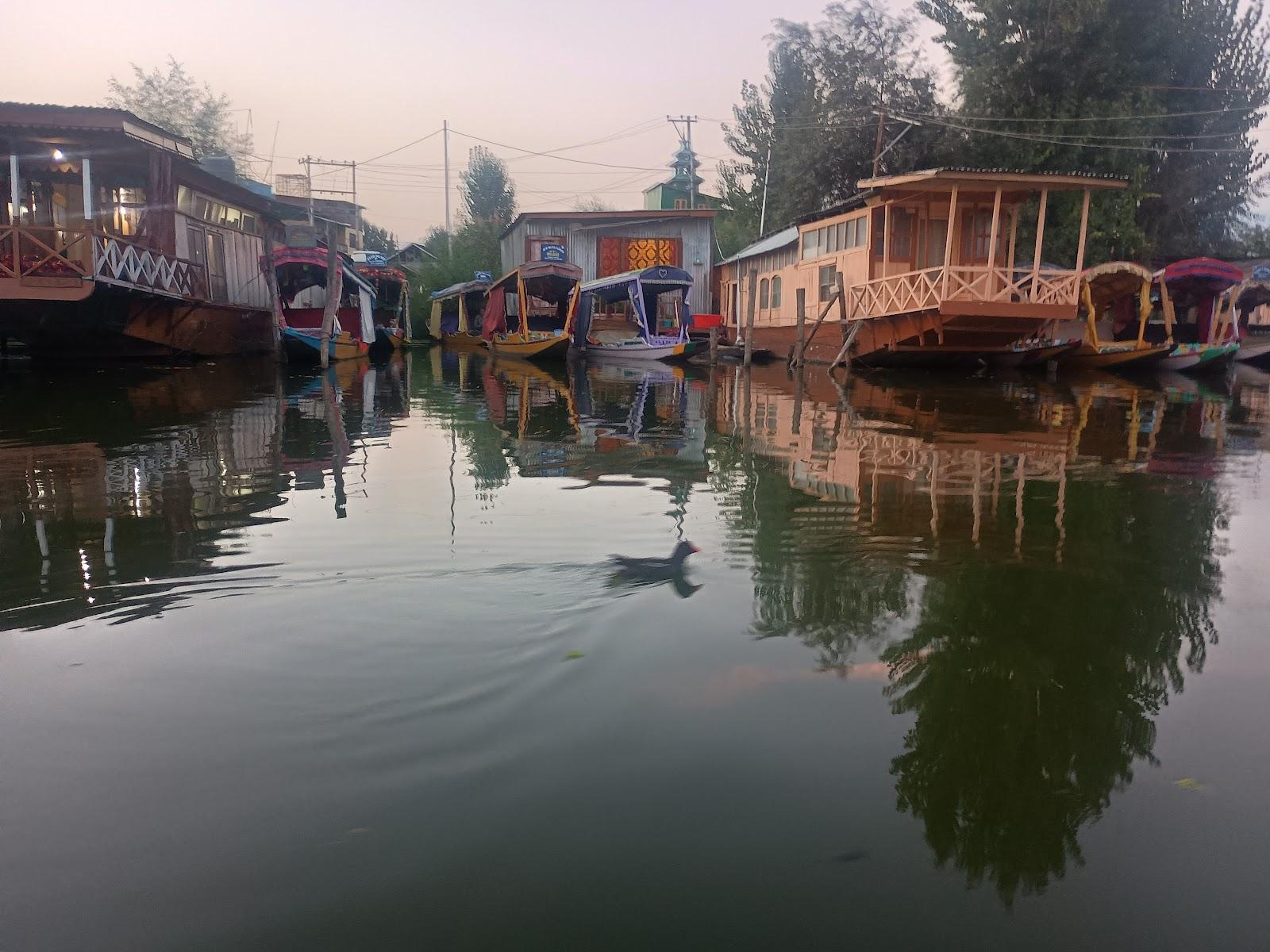 Dal lake – photo 4