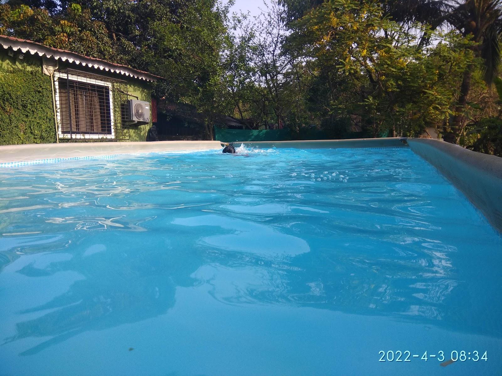 Sun and Shade Farm Resort – photo 2
