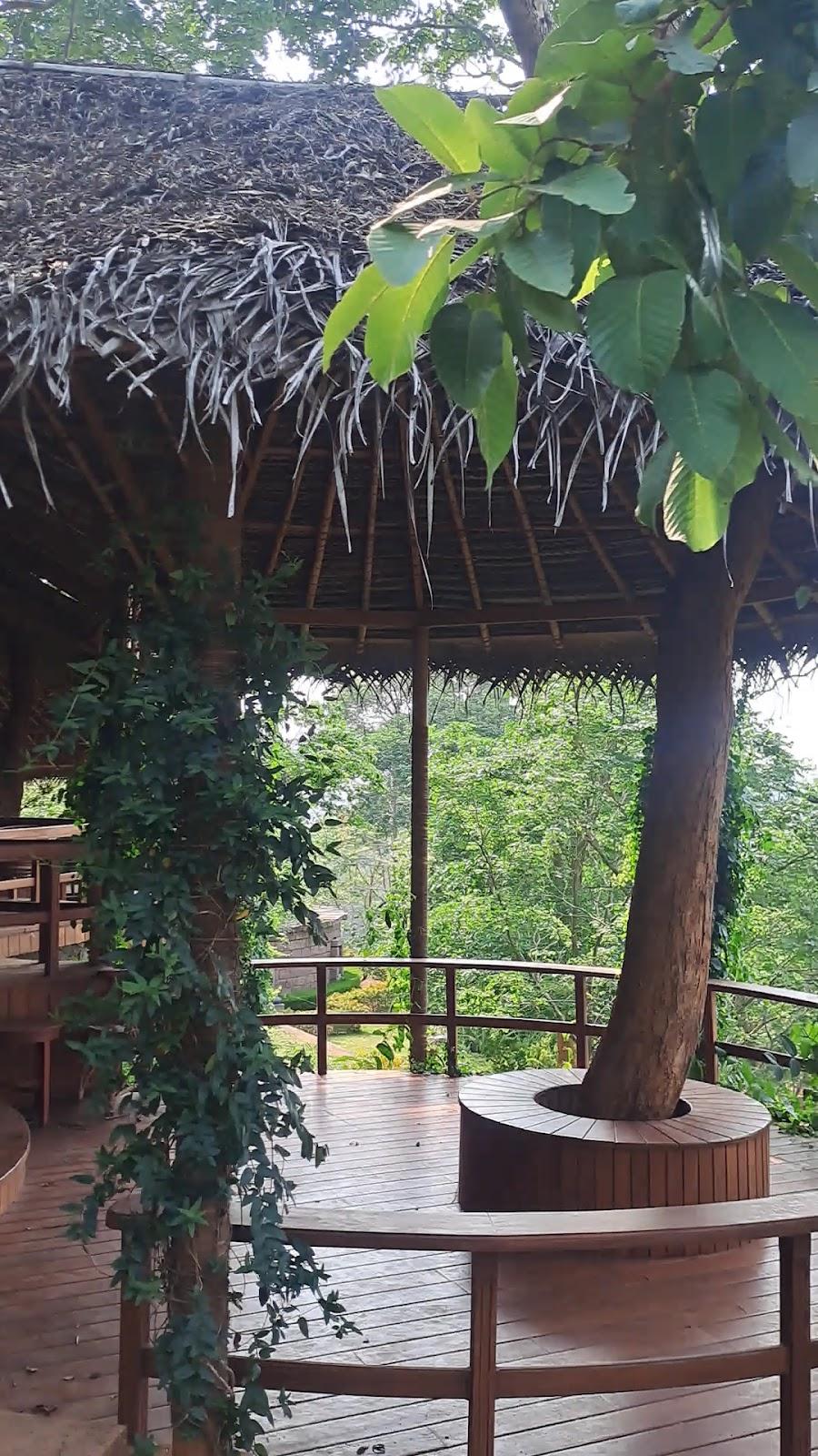 Hortus Malabaricus Resort – photo 2