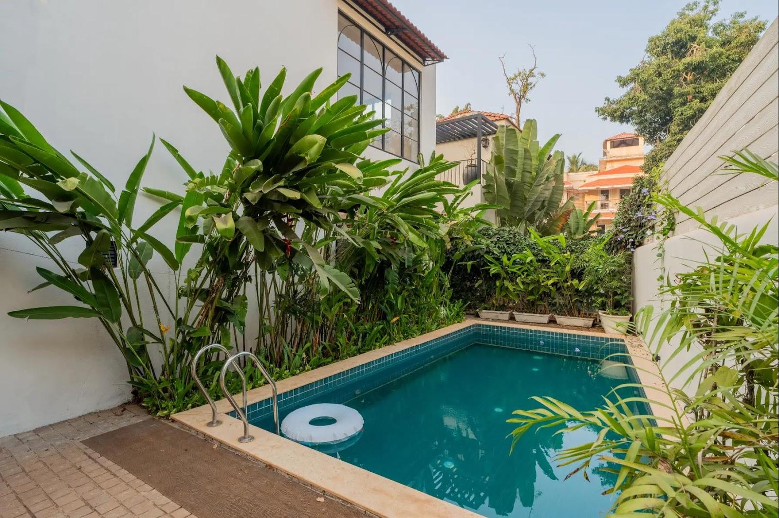 ELIVAAS Bogenvilla - Villa in Goa | 3 BHK Villa with Private Pool in Anjuna, North Goa – photo 4