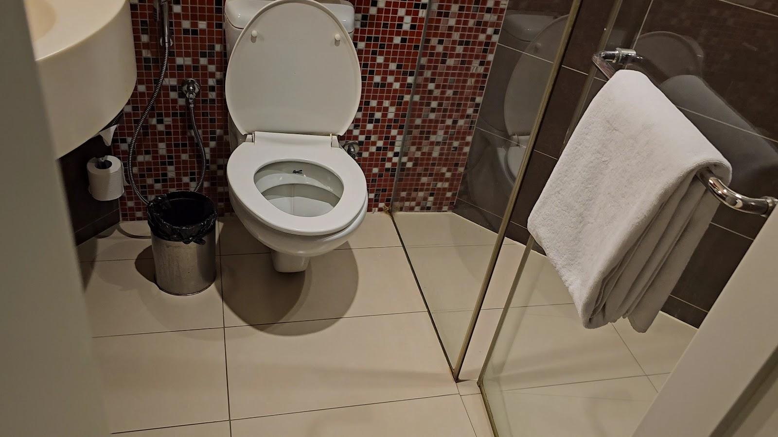 ibis Hyderabad HITEC City – photo 2