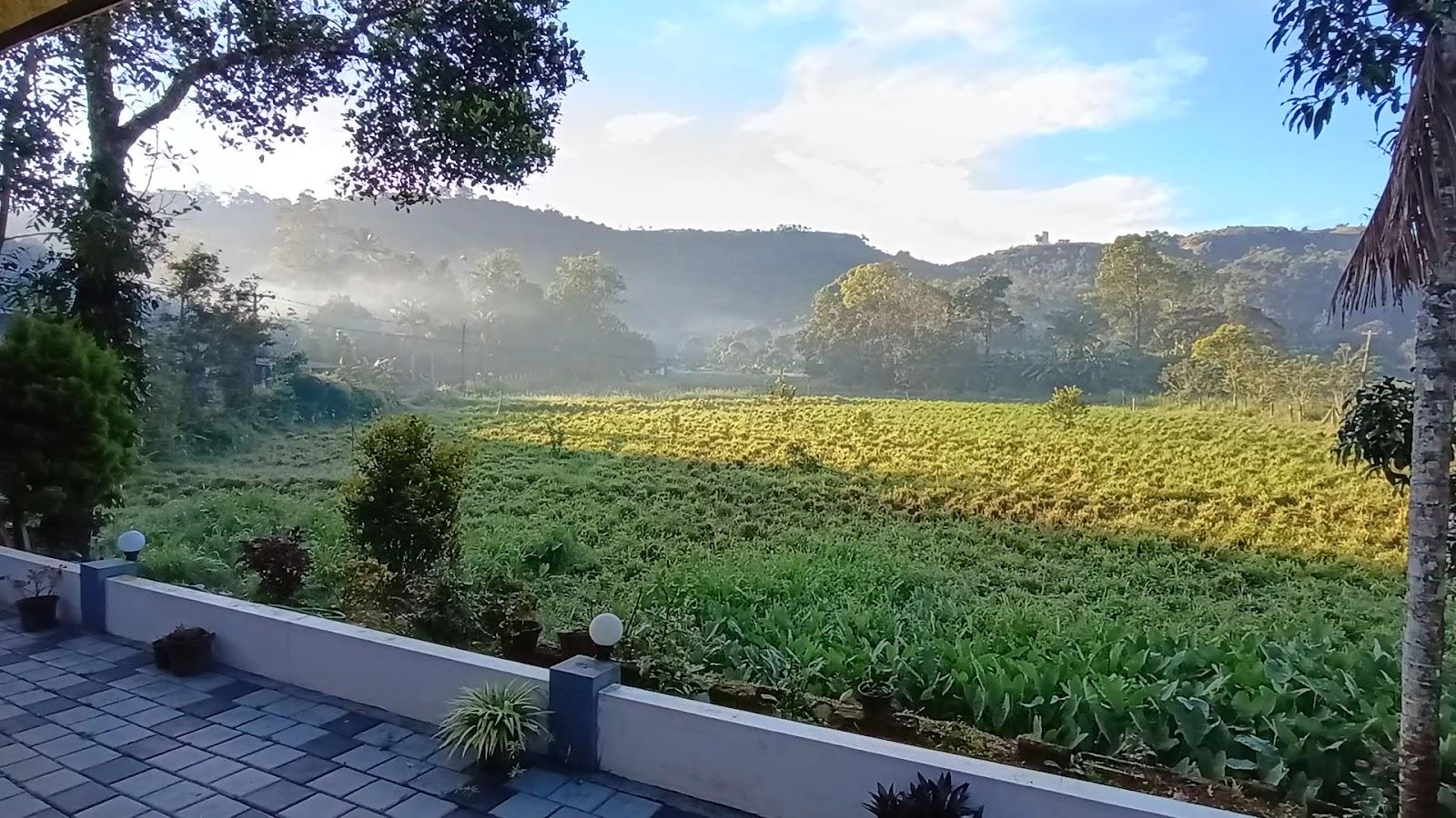 Wild Mist Munnar Homestay – photo 2