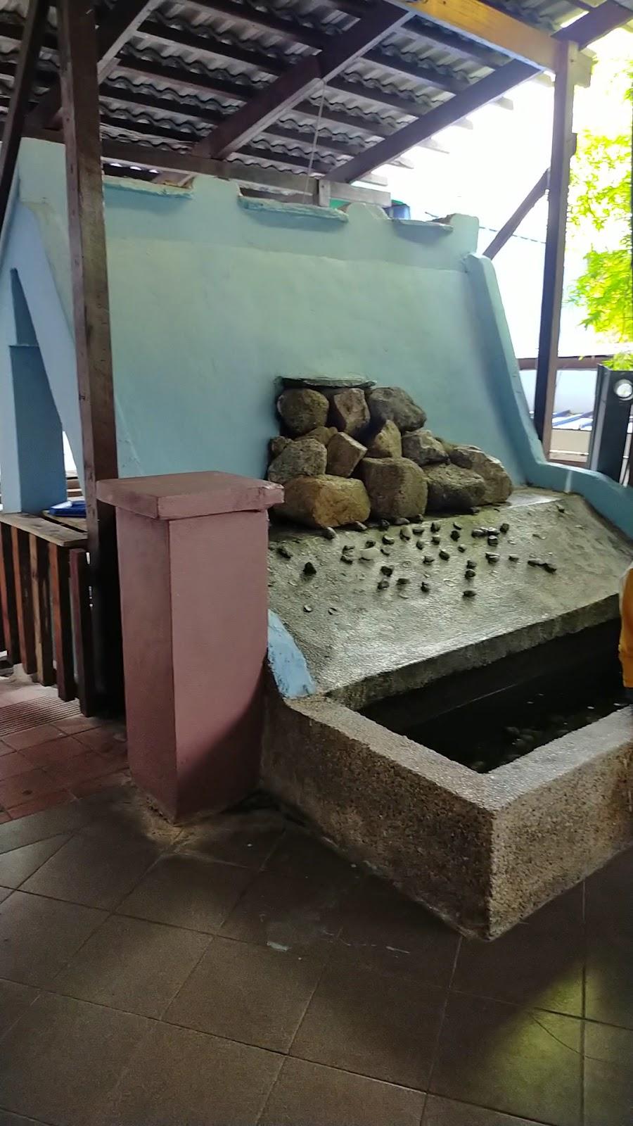 JMA FERRINGHI BEACH HOTEL – photo 2