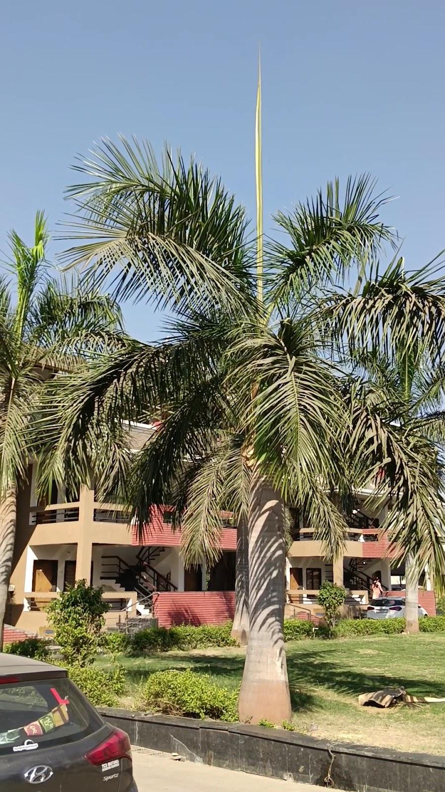 N.K.Resorts – photo 2