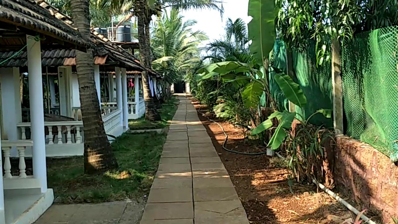 Morjim Holiday Beach Resort – photo 2