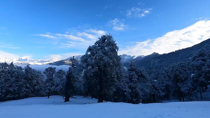 Chopta Mount Holiday Camp & Resort – photo 2