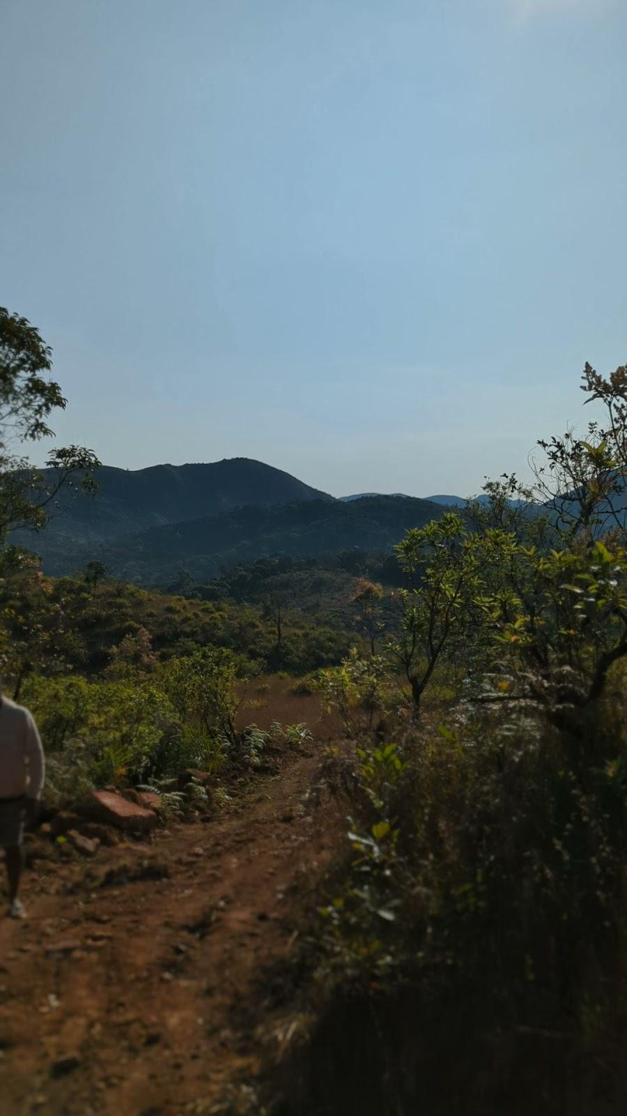 Thottimane Home Stay - A Coffee Estate Escape – photo 4
