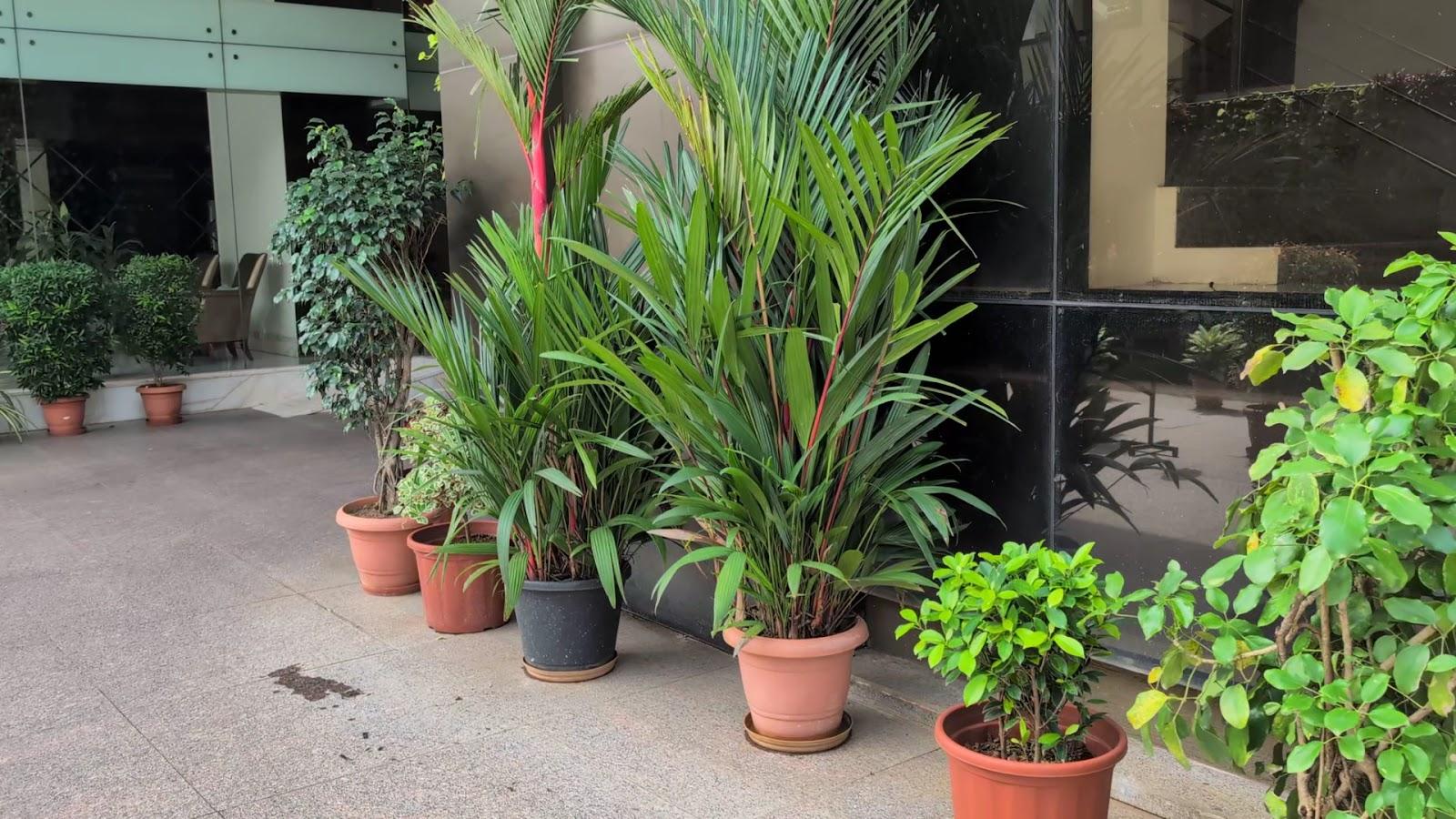 Samanvay Luxury Boutique Hotel, UDUPI