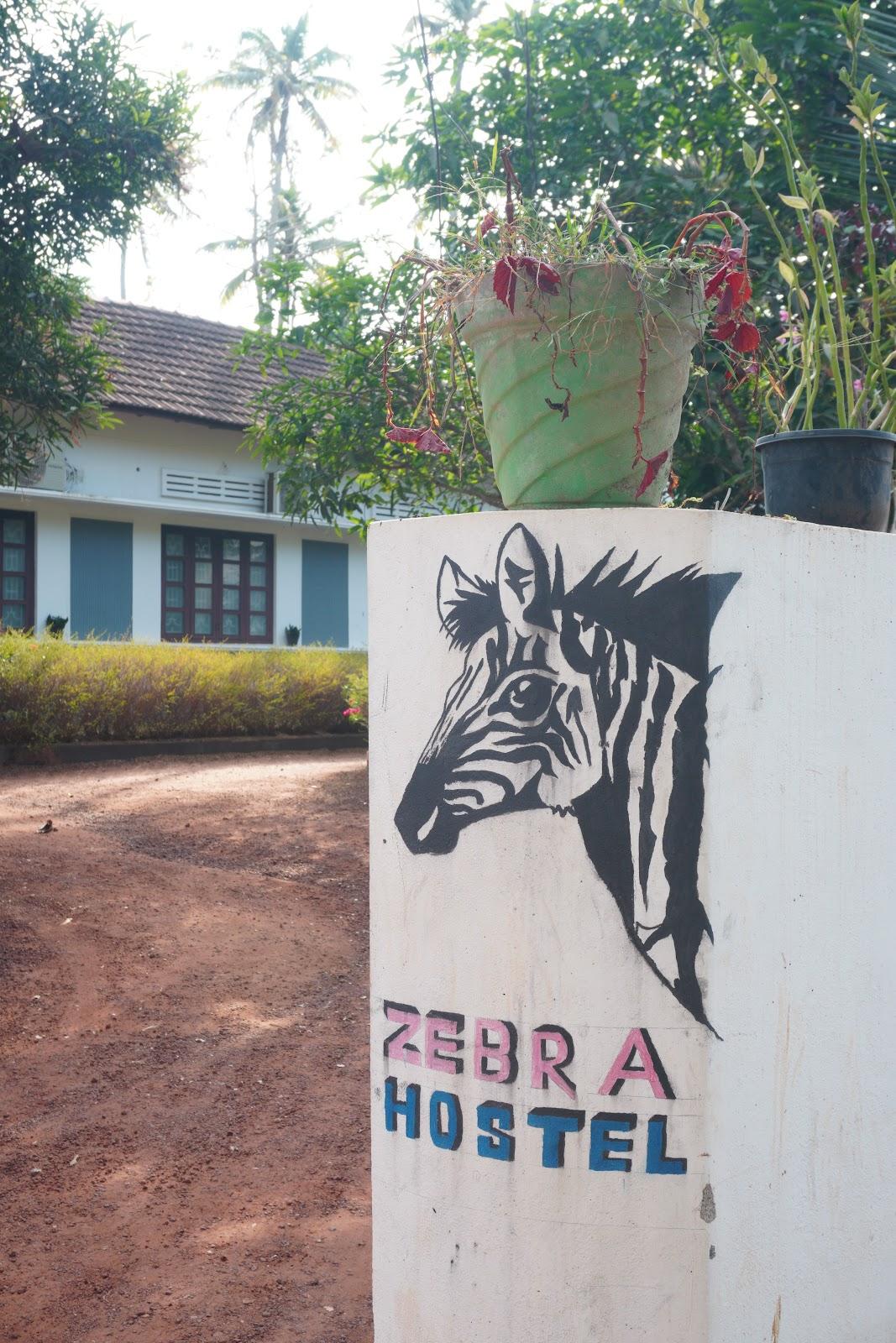 Zebra Hostels – photo 1