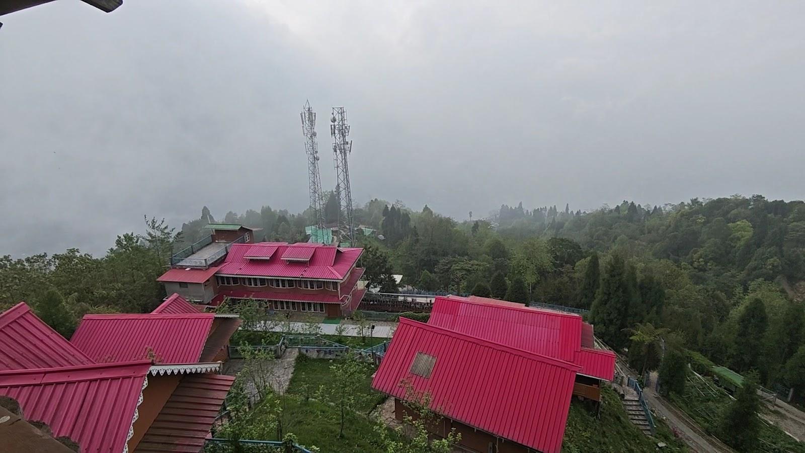 Little Forest Homestay – photo 2