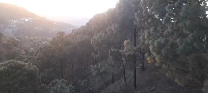Kasauli times – photo 2