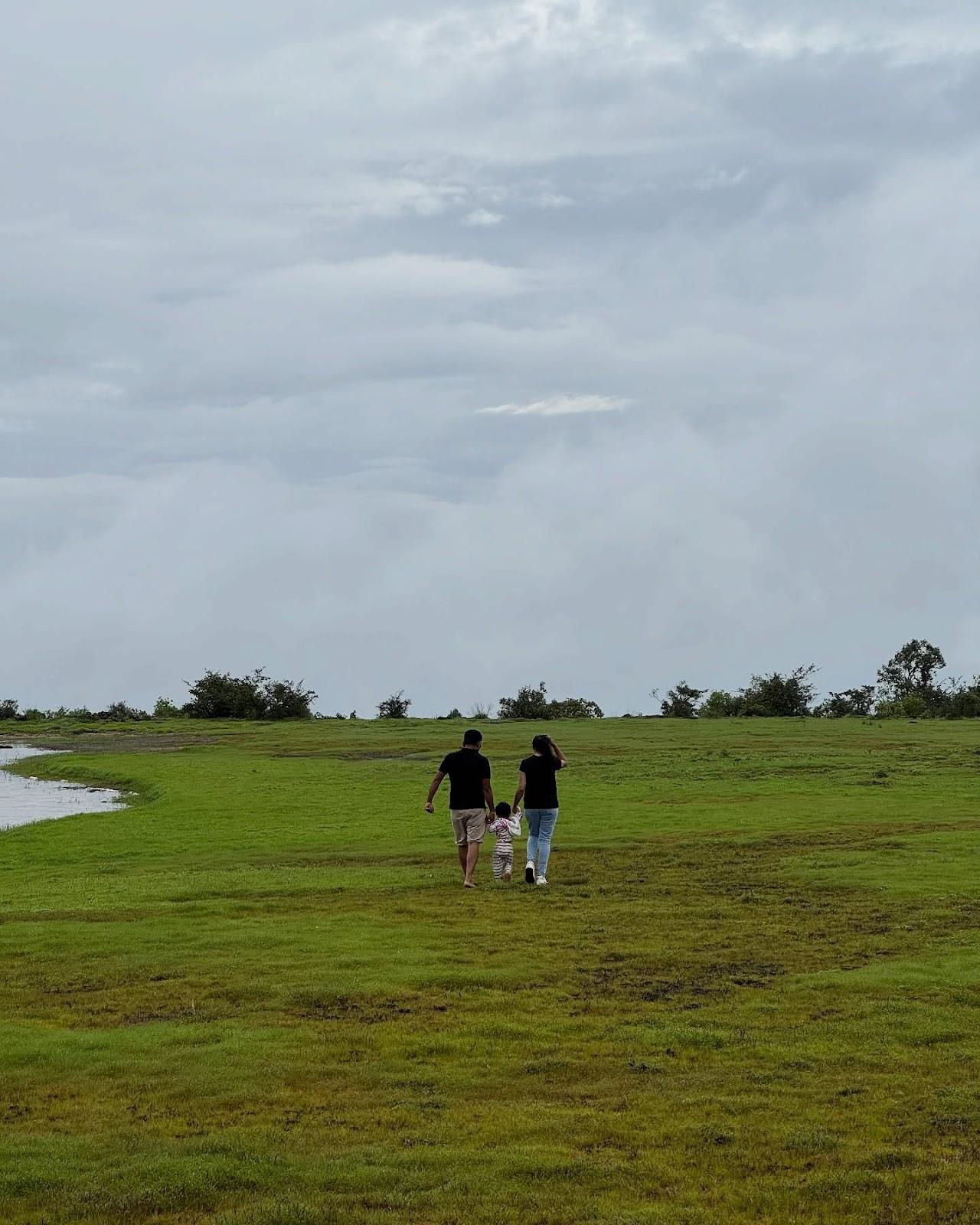 Nirvana Eco & Agro Resort – photo 4