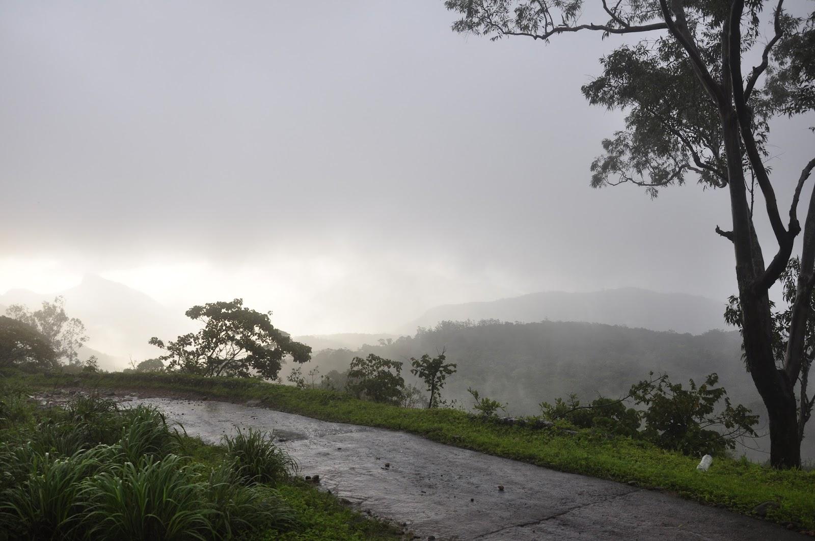 Misty Valley Hill Resorts – photo 4