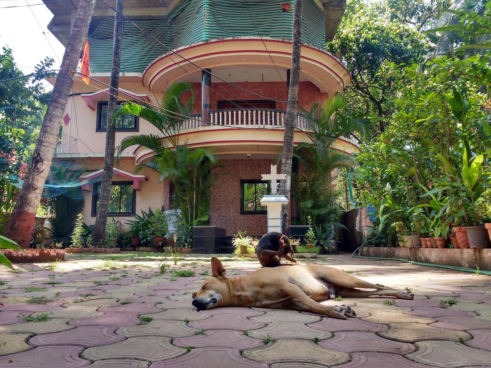 Damania Villa – photo 4