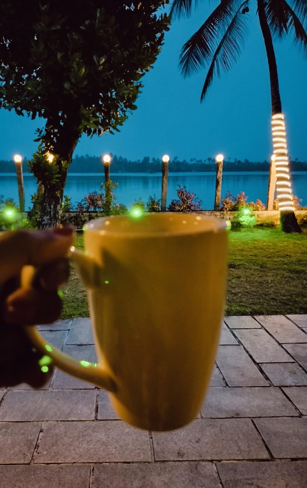 Cherai Lake Resort – photo 3