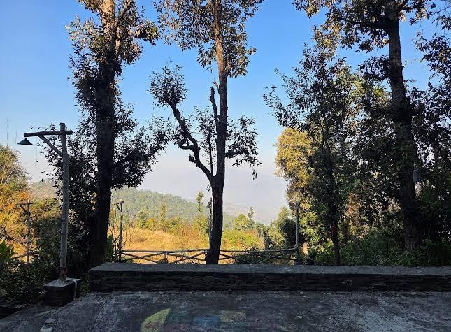 The Cedar Castle – photo 4