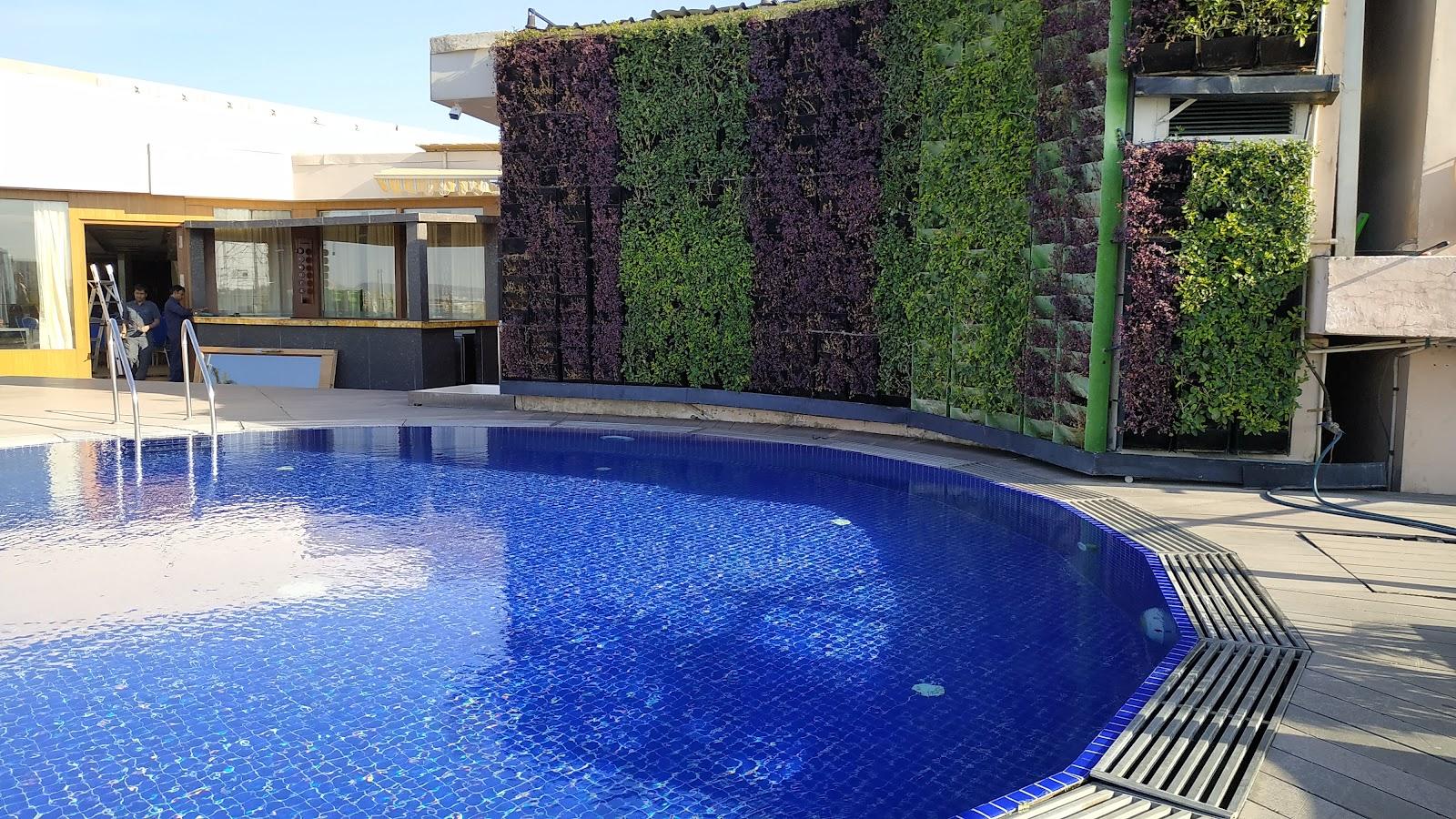 Golden Tulip Essential – photo 4