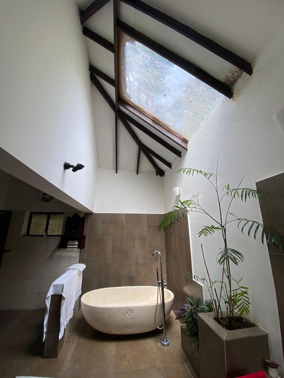 Old Kent Estates & Spa, Coorg – photo 4