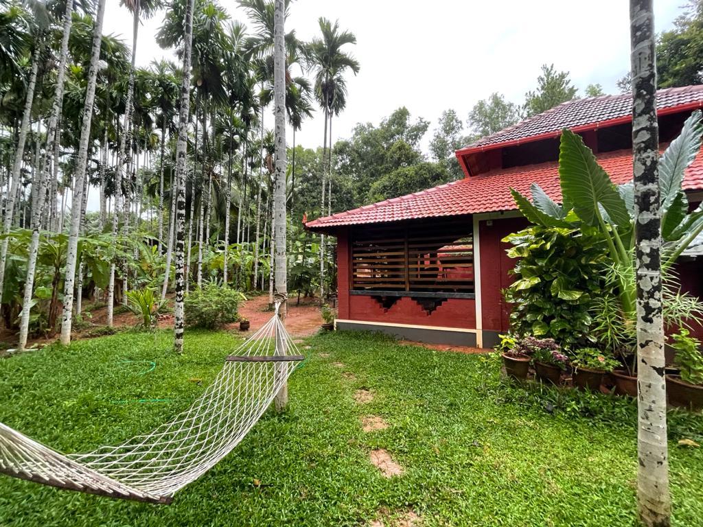 Amma Pride Inn Resort – photo 3