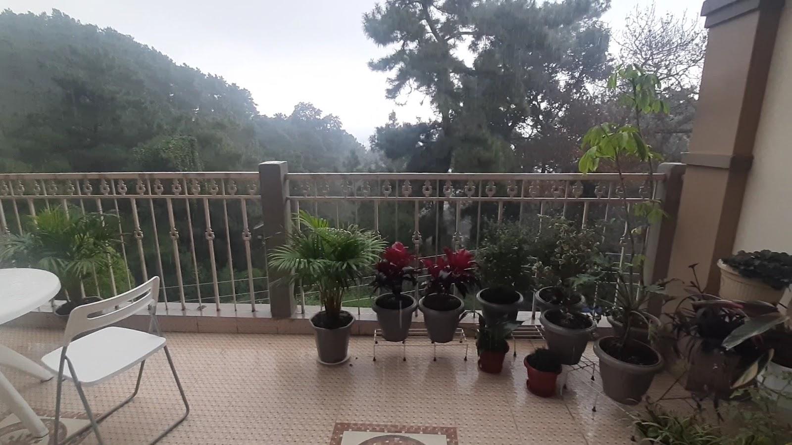 Lashisha Guest house – photo 2
