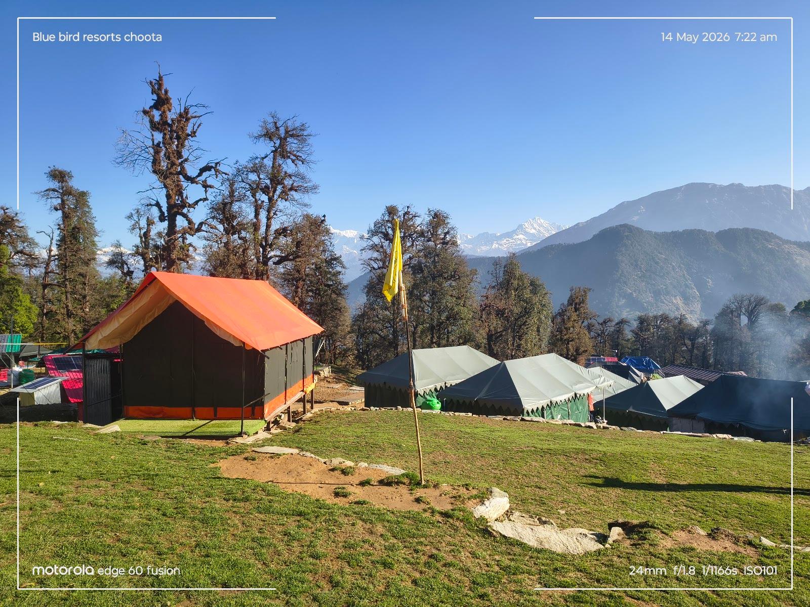Blue Bird Resort | Chopta, Uttrakhand | Luxury Camping | Best Adventure Activities in Himalyas
