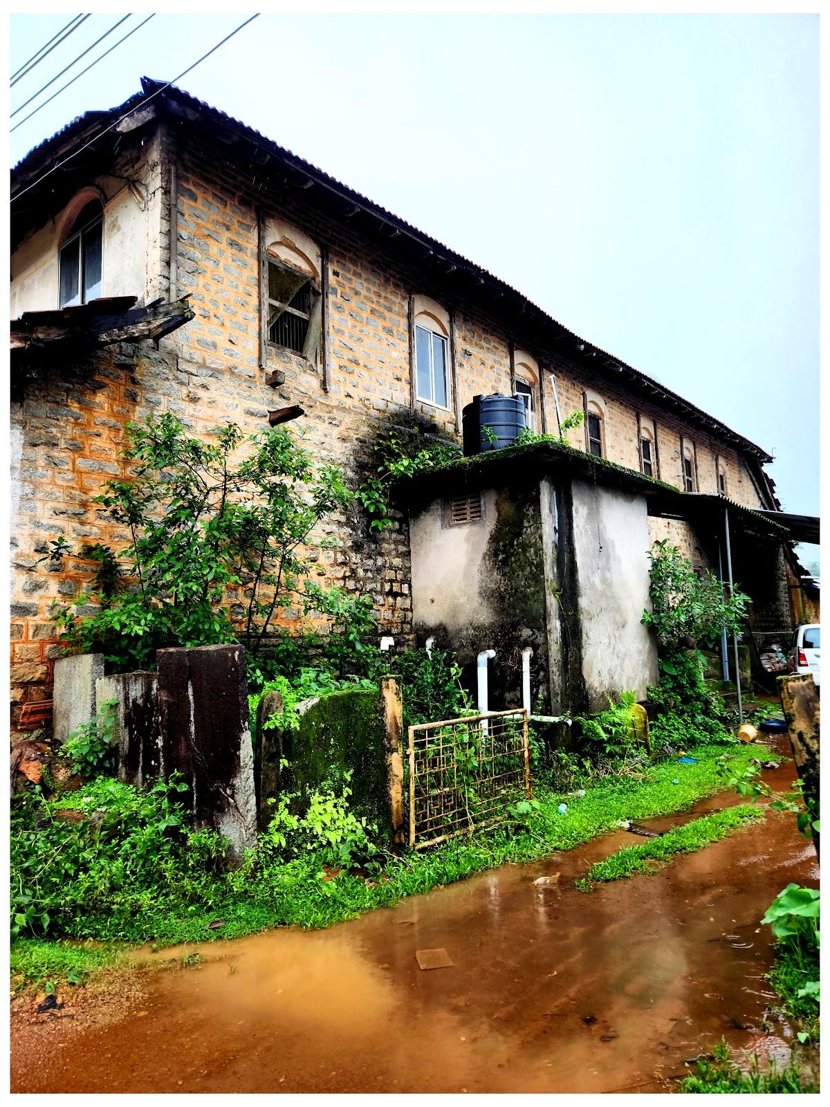 AGUMBE – photo 3