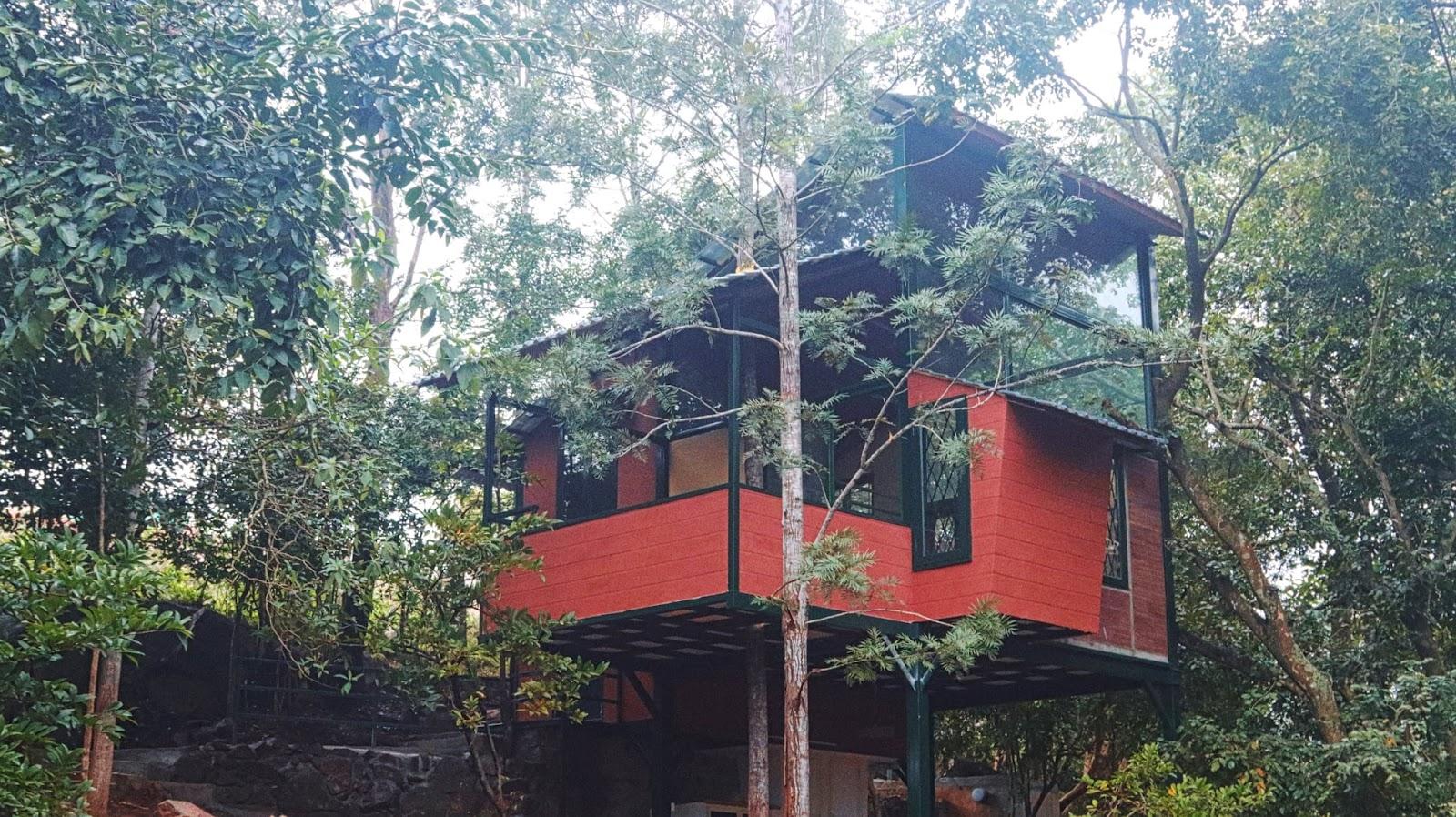 Yelagiri Tree House – photo 1