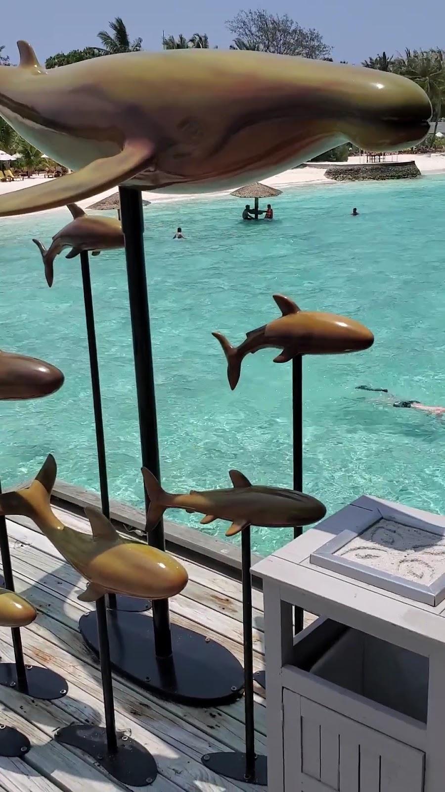 Centara Ras Fushi Resort – photo 2