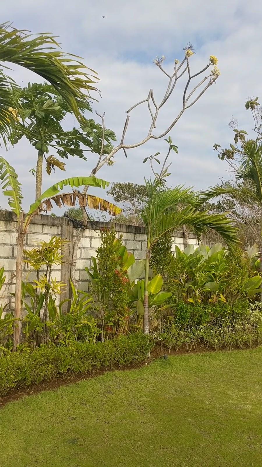Uluwatu Breeze Village – photo 2