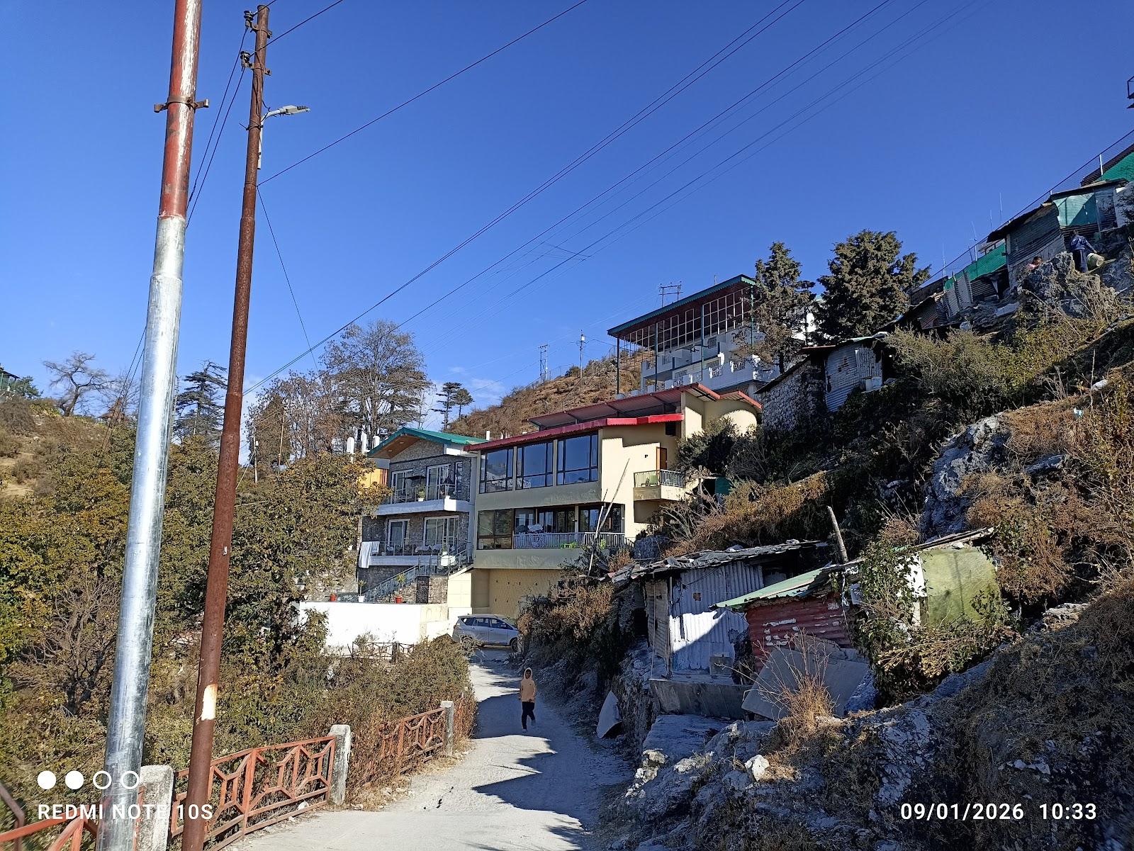 Brahmakamal – photo 4