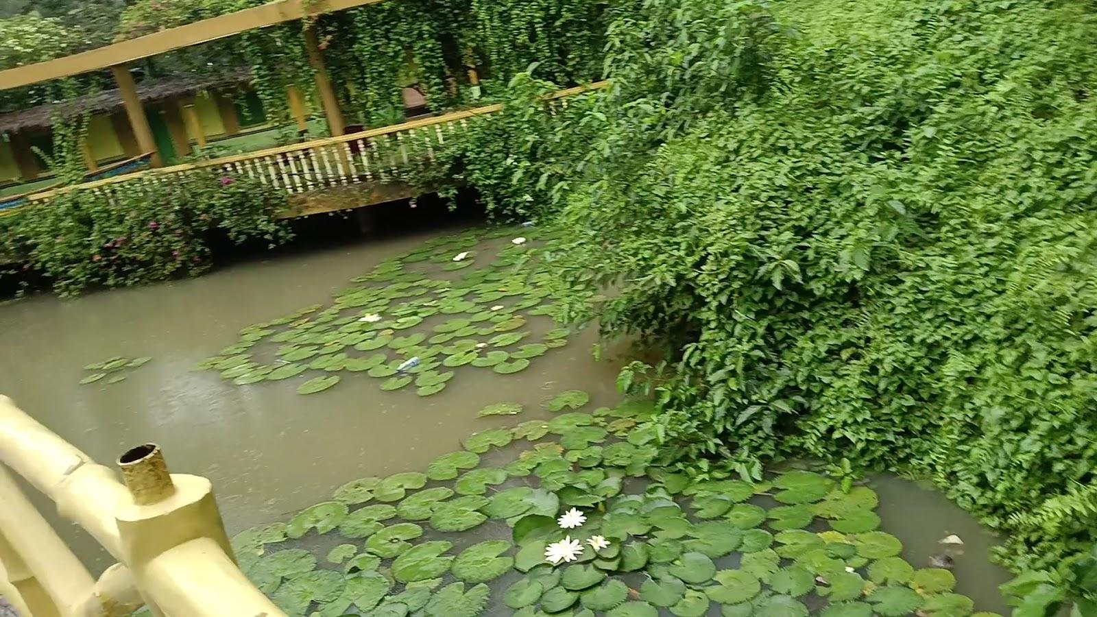 Mayaban Resort – photo 2
