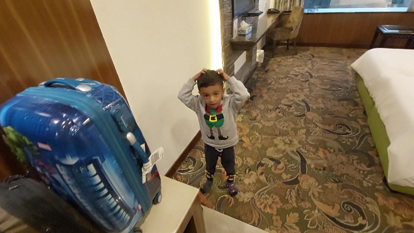 Radisson Hotel Srinagar – photo 2