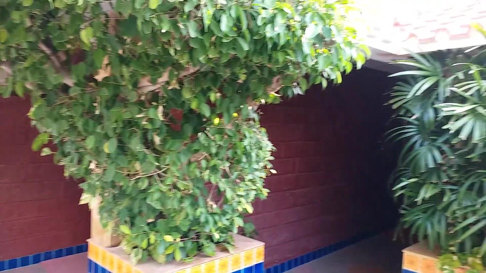 MAYFAIR Heritage, Puri Sudam – photo 2