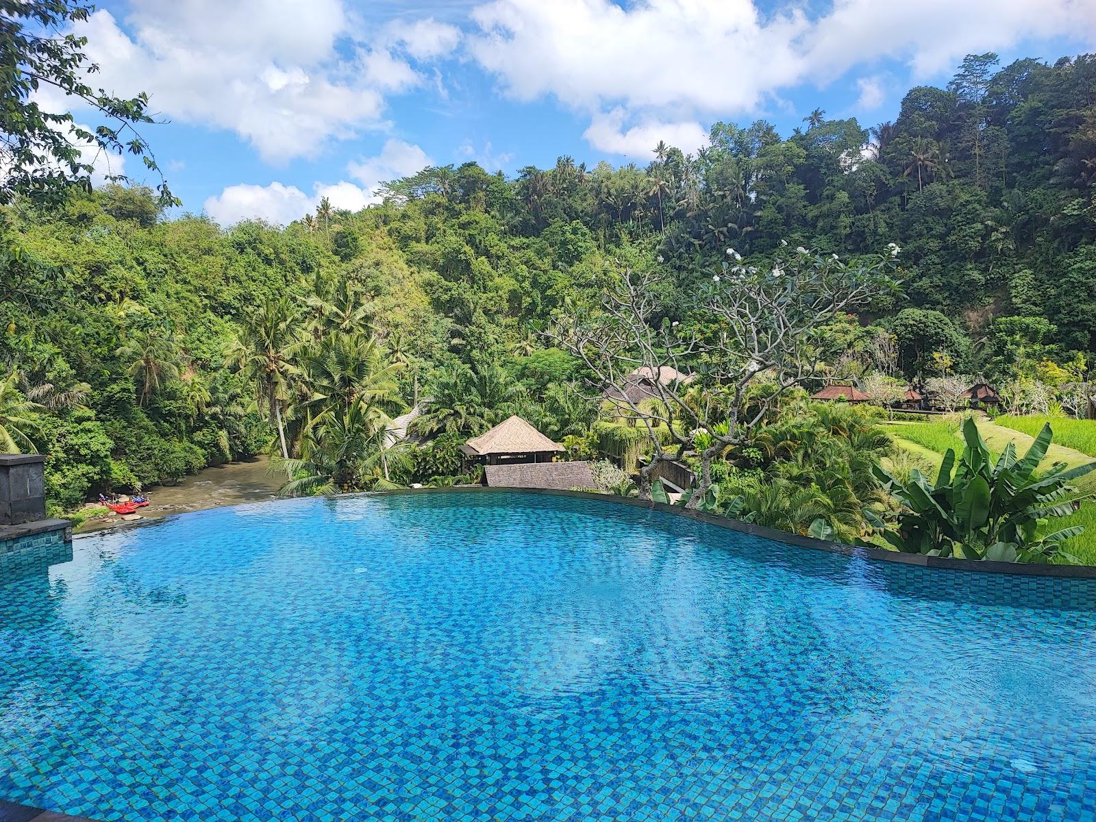 Mandapa, a Ritz-Carlton Reserve – photo 4