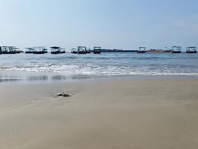 MALVAN SINDHUDURG – photo 2