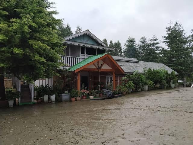 Ziro Valley Resort