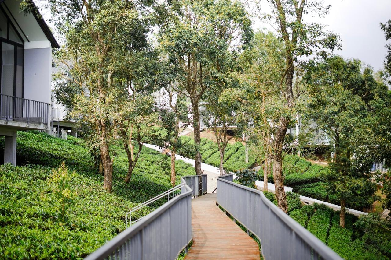 Wayanad De Mount Resort By RAK rooms – photo 4