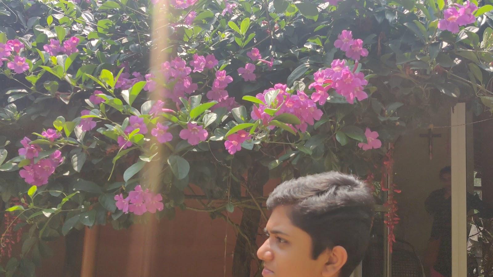 The Hidden Valley - Homestay in Chikmagalur – photo 2