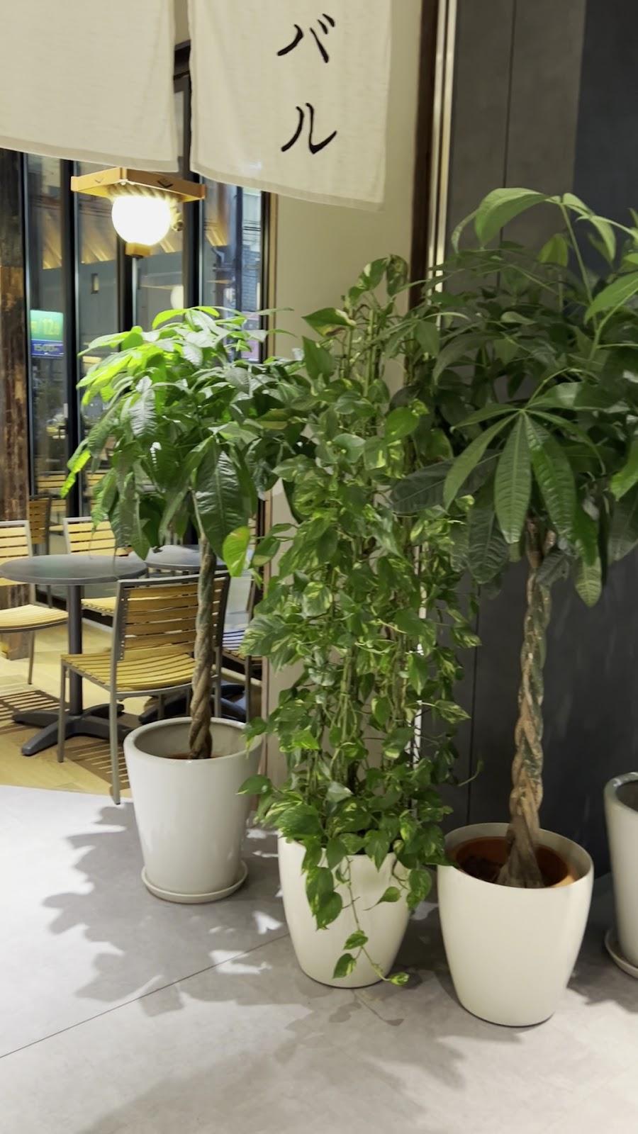 AKABANEHOLIC HOTEL – photo 2