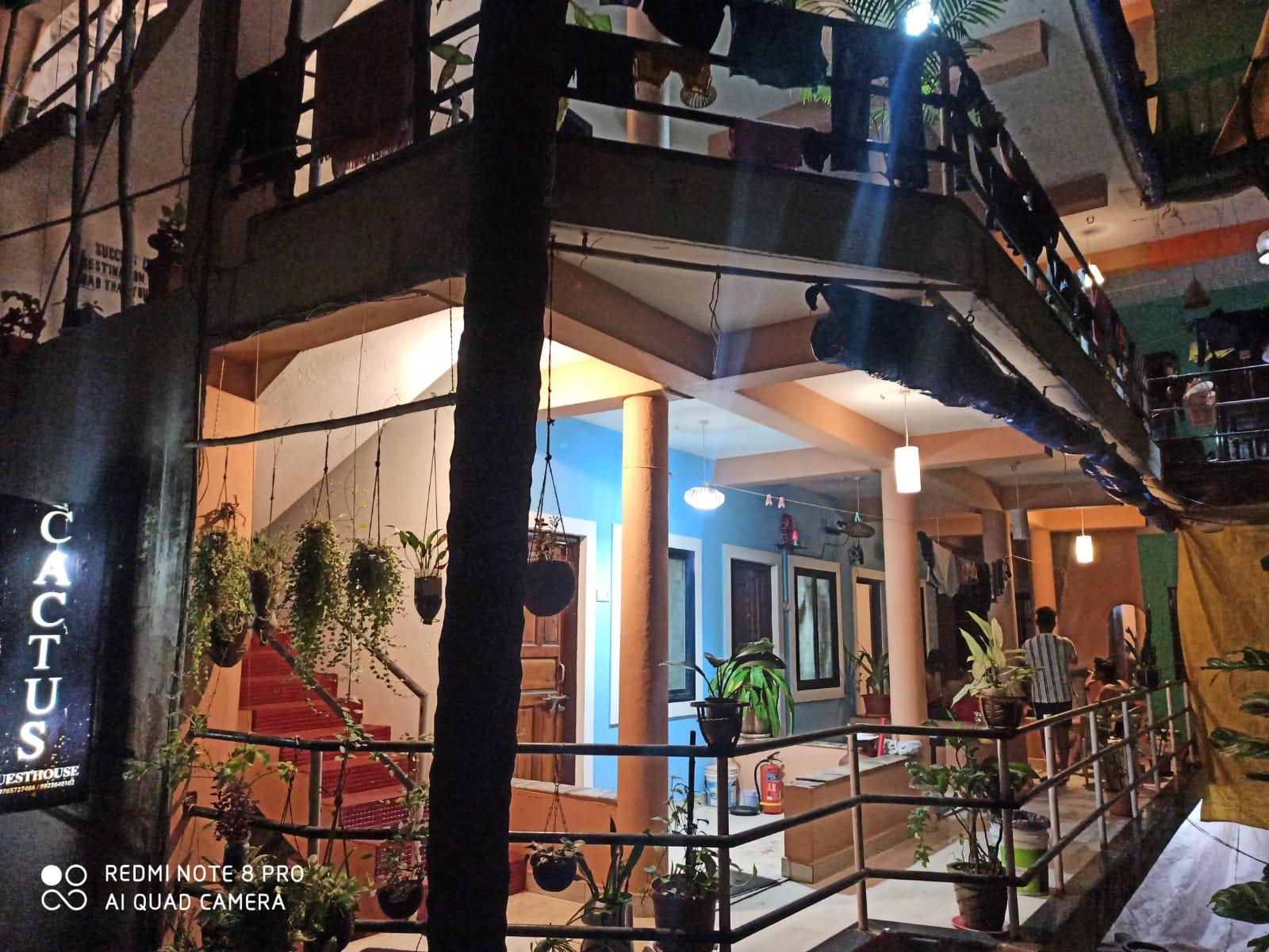 Cactus Guesthouse- Best stay in Arambol – photo 1
