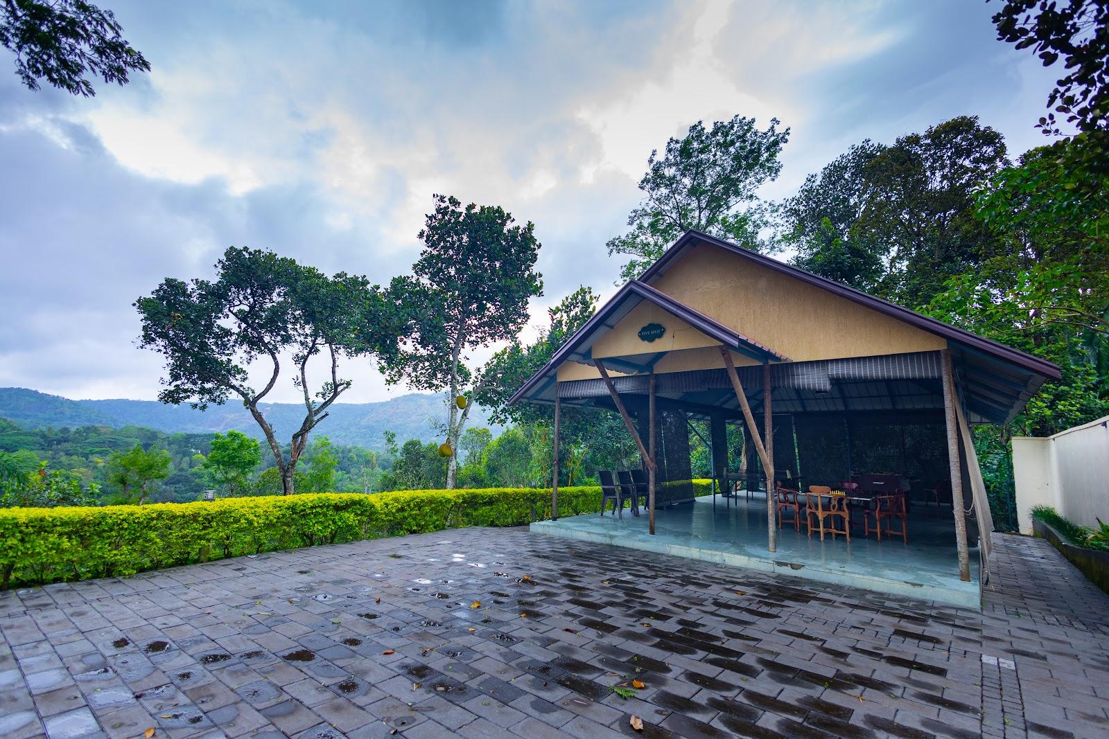 Forest Canopy Thekkady