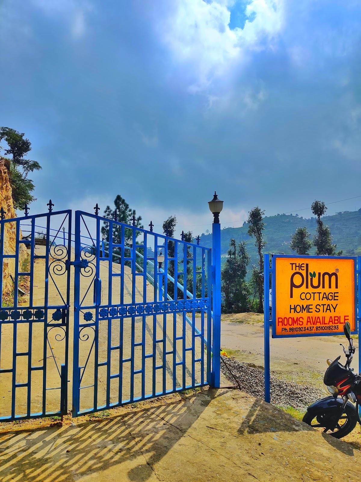 The Plum Cottage – photo 4
