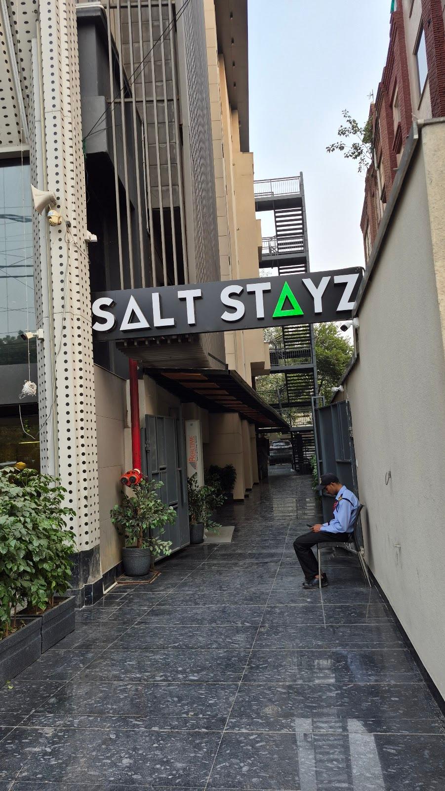 Saltstayz Premier Naraina Vihar – photo 1