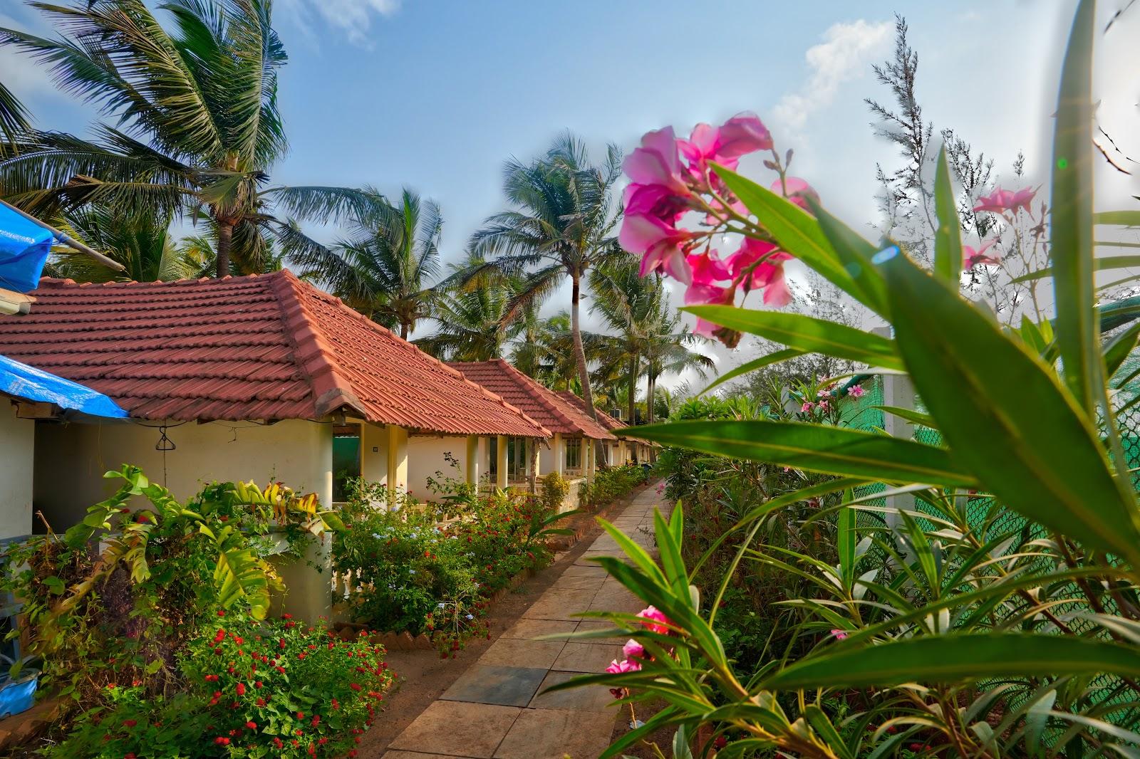 Morjim Holiday Beach Resort – photo 1